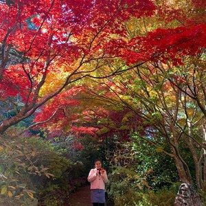 Meet your Posher, Yushan